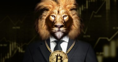 Leão com corrente de bitcoin