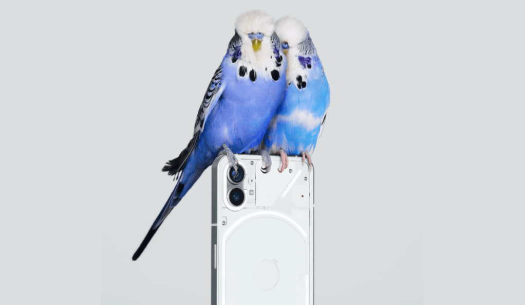 Imagem da matéria: Rede Polygon "imita" Solana e também terá celular com foco na Web3