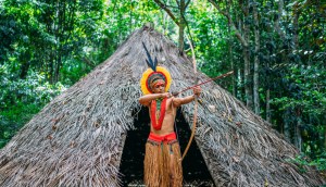 Imagem da matéria: Índios denunciam presença de empresa de NFT na Amazônia e MP abre investigação