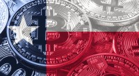 Bandeira do Texas com Bitcoin