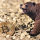 Urso marrom de brinquedo próximo a uma moeda dourada de Bitcoin (BTC), indicando um ciclo de baixa no mercado