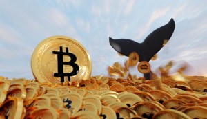 Cauda de baleia sob um mar de moedas de bitcoin