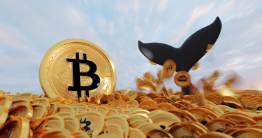 Cauda de baleia sob um mar de moedas de bitcoin