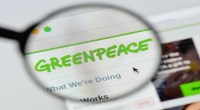 Lupa à frente de tela de computador mostra logo da Greenpeace