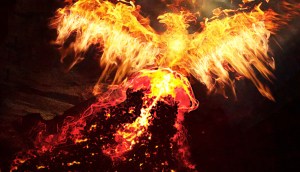 Fênix renascendo das cinzas