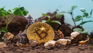 miniaturas de pessoas minerando bitcoin em meio a pedras e folhagens
