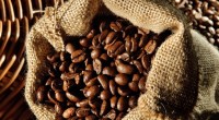 Imagem da matéria: Projeto da IBM mostra uso prático da blockchain para exportação de café brasileiro