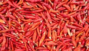 seleção de pimentas