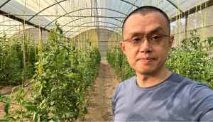 ceo binance horta verde