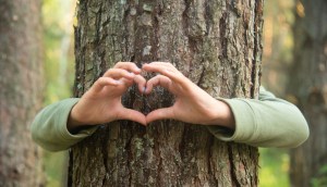 Imagem da matéria: Programa NFT da Starbucks terá aulas sobre café e direito a nomear árvore
