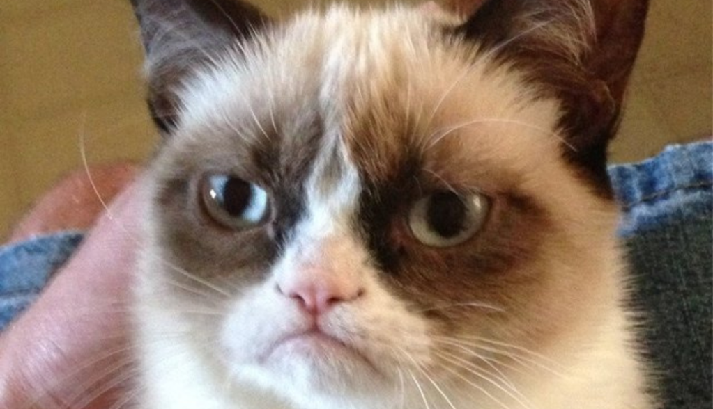 Imagem da matéria: Próxima PEPE? Brasileiro que ficou rico com DOGE promove memecoin que ele mesmo comprou