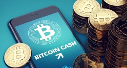 Moedas do Bitcoin Cash (BCH) ao lado de um celular com o logo do projeto