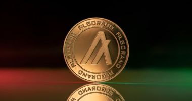 Imagem da matéria: Criptomoeda atinge nova baixa histórica em meio à desaceleração do mercado