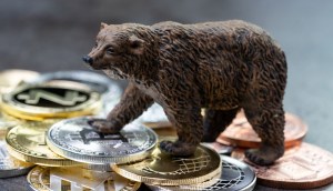 Boneco de urso sobre várias criptomoedas