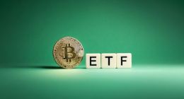 Imagem da matéria: ETFs de Bitcoin perdem terreno pela 1ª vez em semanas, prejudicados pela Grayscale