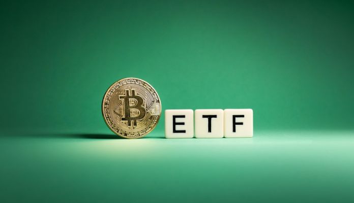 Imagem da matéria: Emissoras de ETF de Bitcoin podem diminuir até o final do ano, diz diretor da Valkyrie