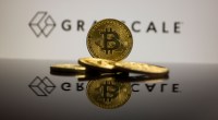 Imagem da matéria: Manhã Cripto: Bitcoin (BTC) sobe 3% e supera US$ 43 mil com traders mais confiantes após saques no fundo da Grayscale