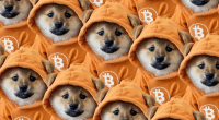 Imagem da matéria: DOG decola 85% na semana e mostra que hype das memecoins do Bitcoin ainda não acabou
