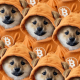 Imagem da matéria: DOG decola 85% na semana e mostra que hype das memecoins do Bitcoin ainda não acabou