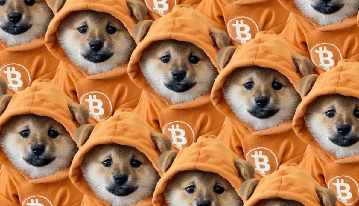 DOG decola 85% na semana e mostra que hype das memecoins do Bitcoin ...