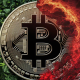 Imagem da matéria: Se o halving é bullish para o Bitcoin, por que o preço costuma cair logo em seguida?