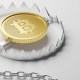 moeda de bitcoin dentro de armadilha selvagem