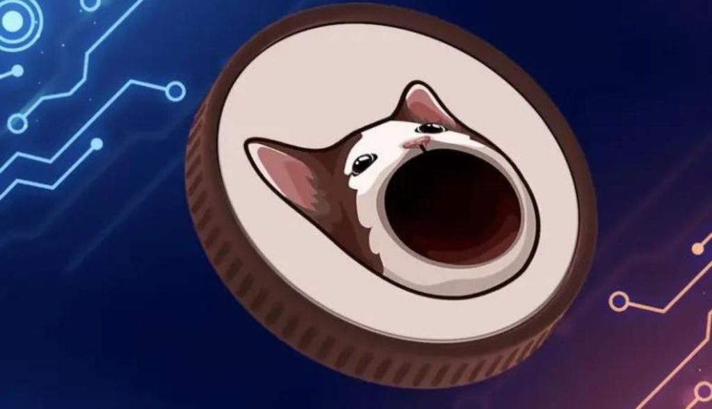 Imagem da matéria: Popcat: Memecoin de gatinho vira febre e valoriza 47% na semana