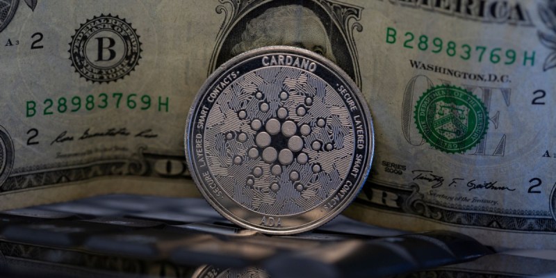 Erro do dedo gordo? Baleia da Cardano perde R$ 32 milhões em transação